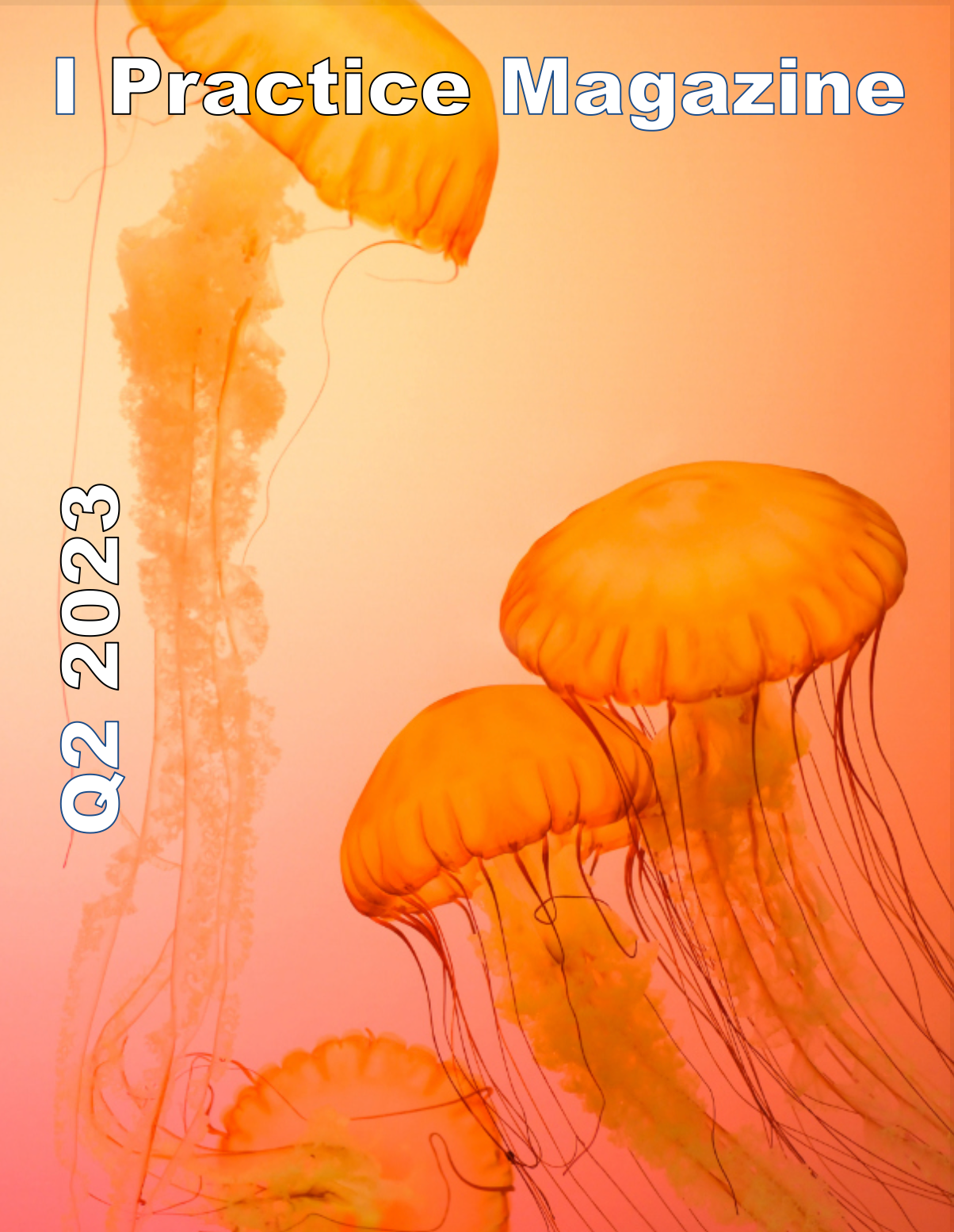 IPractice Magazines (ebook)