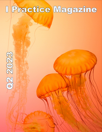 IPractice Magazines (ebook)