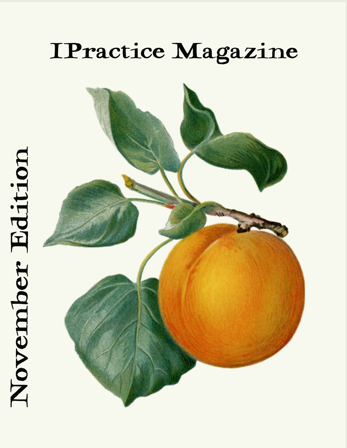 IPractice Magazines (ebook)